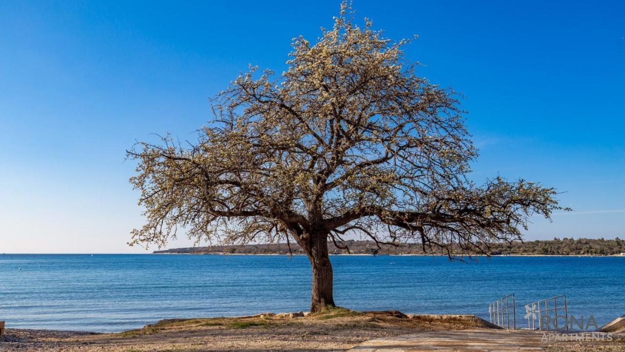 Rona Holiday Home Ana Poreč Zewnętrze zdjęcie